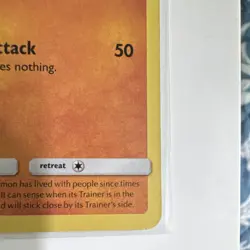 Pokemon TCG Rockruff SV23/SV94 Hidden Fates Shiny Vault Holo English 2019 *Mint* - Image 4