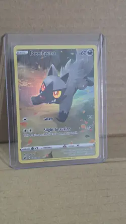 Pokemon - Poochyena - GG33/GG70 Crown Zenith: Galarian Gallery - Ultra Rare - NM - Image 1
