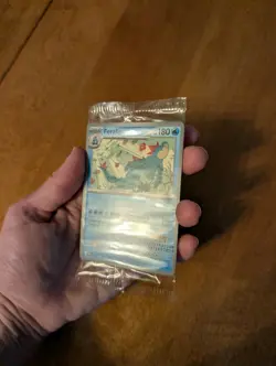 Sealed Pokemon TCG Feraligatr and Pikachu Illustration Contest 2024 Promo Card - Image 3