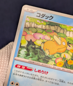 Psyduck 262/SV-P Gym Promo Pokemon Card Scarlet & Violet From Japan -NM- - Image 5