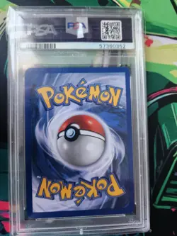 2000 Dark Persian Promo Card 17 No HP Error. PSA 8 Graded - eBay Authenticated - Image 4