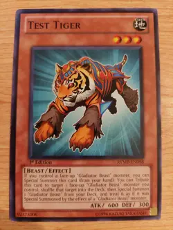 Test Tiger - RYMP-EN098 - Lightly Played LP - 1st Edition - Image 1
