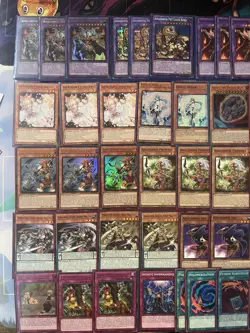Yu-Gi-Oh! Amazoness Deck W/ Extra Deck + Deckbox & Sleeves - Handtraps - Image 2