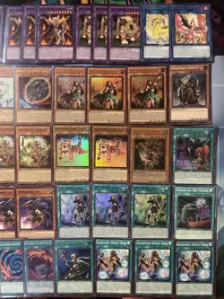 Yu-Gi-Oh! Amazoness Deck W/ Extra Deck + Deckbox & Sleeves - Handtraps - Image 3