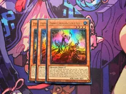 x3 Primite Dragon Ether Beryl RA05-EN033 Ultra Rare 1st Ed NM Playset Yugioh - Image 1