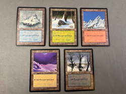 MTG Ice Age Snow-Covered Land Set—One Of Each Land—Lightly Played+ Condition - Image 1