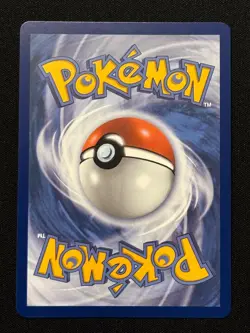 Chimchar 041 Holo Promo ME: Mega Evolution Promo Pokemon Near Mint - Image 2