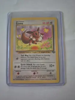 Pokemon TCG Jungle Set Eevee, Vaporeon, jolteon, and Flareon Non Holo Unlimited - Image 3