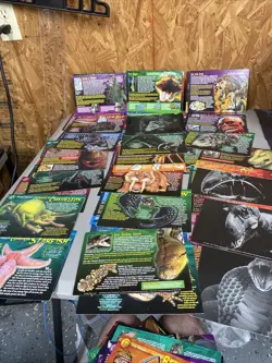 Weird N Wild Creatures Trading Cards 150 Large Cards - Image 2