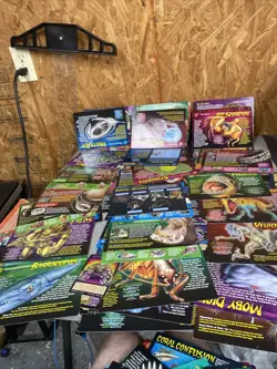 Weird N Wild Creatures Trading Cards 150 Large Cards - Image 4