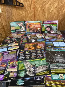 Weird N Wild Creatures Trading Cards 150 Large Cards - Image 5