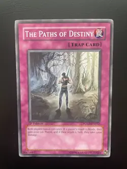 Yugioh The Paths Of Destiny POTD-EN052 1st Edition Common MP/HP - Image 1
