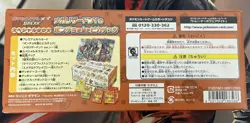 Japanese Pokemon Center Pikachu Poncho Mega Charizard Y special BOX pokemon - Image 2