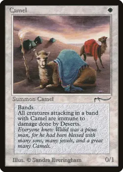 Camel - Arabian Nights - MTG (LP) - Image 1