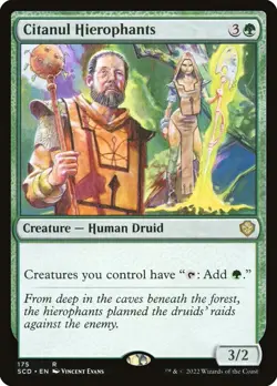 MTG - Citanul Hierophants - Starter Commander - X1 - (NM) - - Image 1