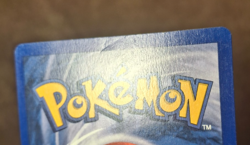 1999 POKEMON BASE SET SHADOWLESS VENUSAUR HOLO CARD, 15/102 - Image 3