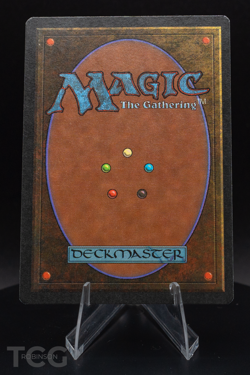 Tetsuo Umezawa - Legends Regular - Magic the Gathering - Image 2
