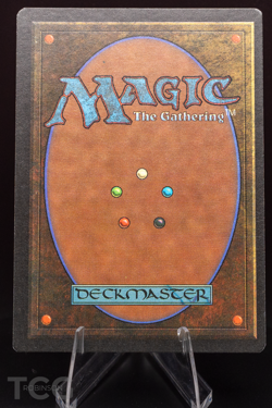 Tundra - 1994 Magic the Gathering - Revised Edition Regular - Image 2