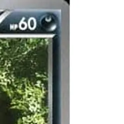 Pokemon Poochyena C 052/088 XY4 Phantom Gate Japanese Card - Image 4