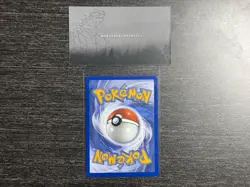 Mightyena 243/217 Illustration Rare Ascended Heroes Pokemon Holo Near Mint - Image 5