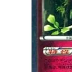 Pokemon Slurpuff Holo R 043/060 XY1 Collection X Japanese Card - Image 5