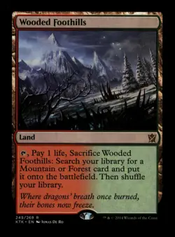 Wooded Foothills 249 Rare Khans of Tarkir Magic: The Gathering Near Mint - Image 1