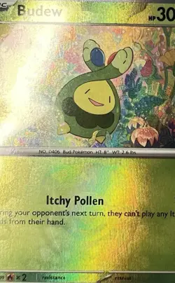 Pokemon TCG Budew (Master Ball Pattern) 004/131 Prismatic Evolutions Holo NM - Image 5