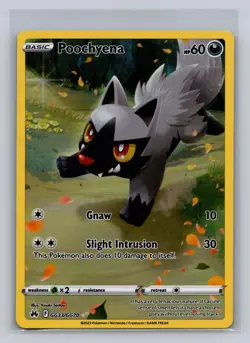 Poochyena GG33/GG70 Holo Crown Zenith Galarian Gallery Pokemon NM - Image 1