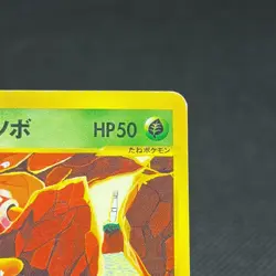 Janine's Shuckle 067/141 Pokemon VS 1st Ed 2001 Japanese Pokemon Card #8A66 - Image 3