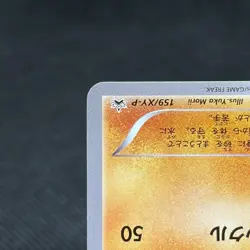 Hippopotas 159/XY-P Promo Center July 18 2015 Japanese Pokemon Card #8E91 - Image 5