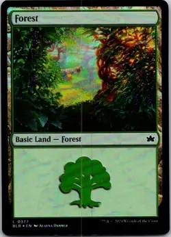 Magic the Gathering Foil Forest #377 Bloomburrow MTG Free Shipping! - Image 1