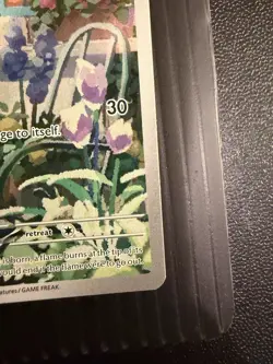 SV: Scarlet & Violet Promo Cards #044 Charmander #2 - Image 4