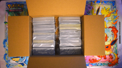 1000 Pokemon Cards Bulk Lot - SORTED 100-Card Packs - No Energy No Trainers - Image 4