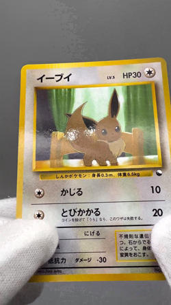 Eevee No.133 Vending Series 1 Old back Vintage Glossy Pokemon Card Japanese - Image 2