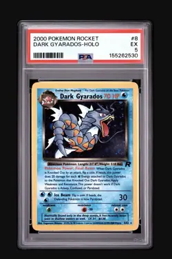Pokemon Dark Gyarados Holo Team Rocket 8 PSA 5 Nm/m Swirl WOTC NEW CERT - Image 1
