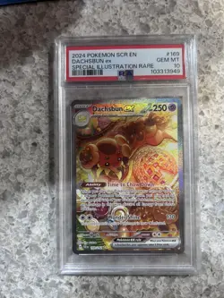 PSA 10- Dachsbun Ex Special Illustration Rare Stellar Crown #169/142 Pokemon - Image 1