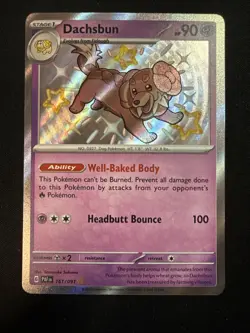 Pokemon TCG Dachsbun 161/091 SV: Paldean Fates Shiny Rare Holo 90 HP EN - Image 2