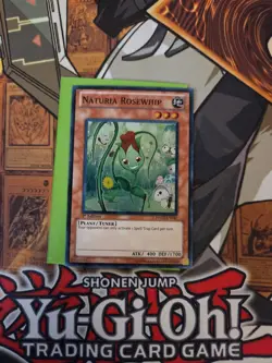 YUGIOH NATURIA ROSEWHIP HA02-EN041 SUPER 1ST ED NM/VLP - Image 2