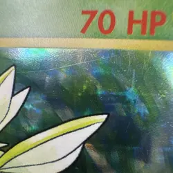 Pokemon TCG Scyther 10/64 Jungle Holo Rare Unlimited 70HP No Symbol Error - Image 4