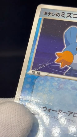 (HP) Brock’s Mudkip 038/ADV-P Shogakukan Promo Japanese Pokemon Card - Image 2