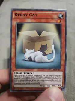 Yugioh Card Stray Cat Anime Exclusive Custom XYZ Crazy Cat Lady Deck Funny Wow - Image 1