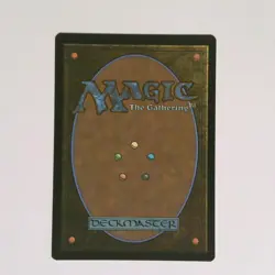 Forest (Full Art) - 0271 - Secrets of Strixhaven SOS - NM/M MTG - Image 2