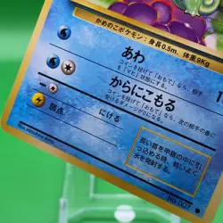 Squirtle TCG Lv.8 Pokemon Card Game Japanese Japan Nintendo Anime F/S c - Image 3