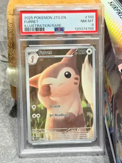 2025 POKEMON JTG EN-JOURNEY TOGETHER ILLUSTRATION RARE 168/159 FURRET - PSA 8 - Image 1