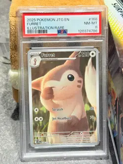 2025 POKEMON JTG EN-JOURNEY TOGETHER ILLUSTRATION RARE 168/159 FURRET - PSA 8 - Image 2