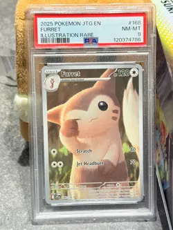 2025 POKEMON JTG EN-JOURNEY TOGETHER ILLUSTRATION RARE 168/159 FURRET - PSA 8 - Image 3