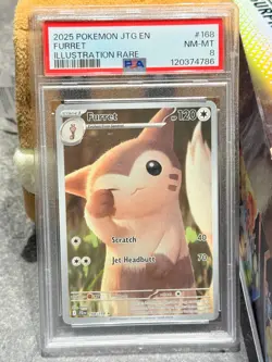 2025 POKEMON JTG EN-JOURNEY TOGETHER ILLUSTRATION RARE 168/159 FURRET - PSA 8 - Image 5