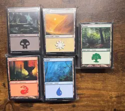 500 MTG Basic Lands Lot - 100 of Each Color - Magic The Gathering Bulk Land Set - Image 2