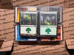 500 MTG Basic Lands Lot - 100 of Each Color - Magic The Gathering Bulk Land Set - Image 3