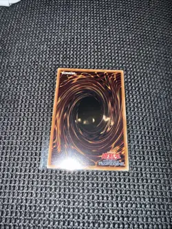 LOCH-JP001 - Yugioh - Japanese - Dark Magician, the Pharaoh's Servant - Secret - Image 4